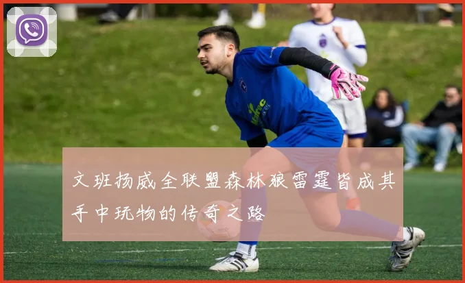 文班扬威全联盟森林狼雷霆皆成其手中玩物的传奇之路